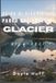 Guida Glacier National Park Travel Guide 2026–2027: Discover Turquoise Lakes, Wildflower Meadows, and Grizzly Territory in Northwestern Montana