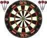 OEM Bol Sisal dartbord set - Duurzaam en compleet - 2 sets dartpijlen
