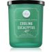 DW Home Signature Scented Candle 425g