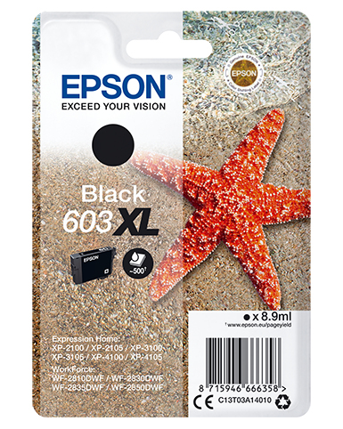 Epson   Singlepack Black 603XL Ink