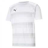 Puma Teamvision Shirt Korte Mouw Kinderen - Wit