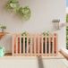 Jardinière surélevée avec clôture en lattes, design 150x50x70 cm, en bois massif de douglas