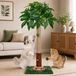 Carton arbre à griffer avec centre de jeu pour chats d'intérieur