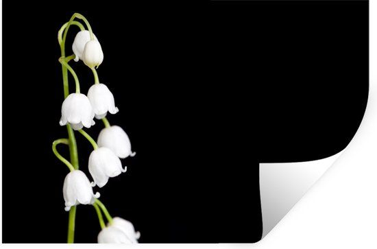 StickerSnake Muursticker Lelietjes van dalen - Bloemen - Zwart - 30x20 cm