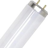 SPL G13 T12 TL-Buis | 40W 3500K 960lm 635 | 600mm