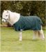 Waldhausen Shetty Cross Surcingles Regendeken - Fir green - 70 cm