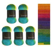 Wollbiene Summer Touch Batik 5 x 100 gram wol meerkleurig met kleurverloop, 500 gram gemerceriseerde breiwol microvezel-acryl (504 regenboog)