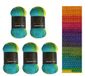 Wollbiene Summer Touch Batik 5 x 100 gram wol meerkleurig met kleurverloop, 500 gram gemerceriseerde breiwol microvezel-acryl (504 regenboog)