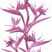 A.S. Création Vliesbehang 8132-37 - wit