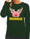 Bellatio Decorations Bol Foute kersttrui / sweater braindeer groen voor dames - Kersttruien XS
