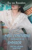 Male Concubine disciplined by his Emperor: First Time Gay BDSM Short Story