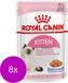 Royal Canin Chat Alimentation en gelée - 8 x 12x85 g
