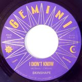 Suburban Skinshape I Didn't Know (Extended Mix)/I Didn't Know (Dub Version)
