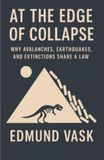At the Edge of Collapse: Why Avalanches, Earthquakes, and Extinctions Share a Law