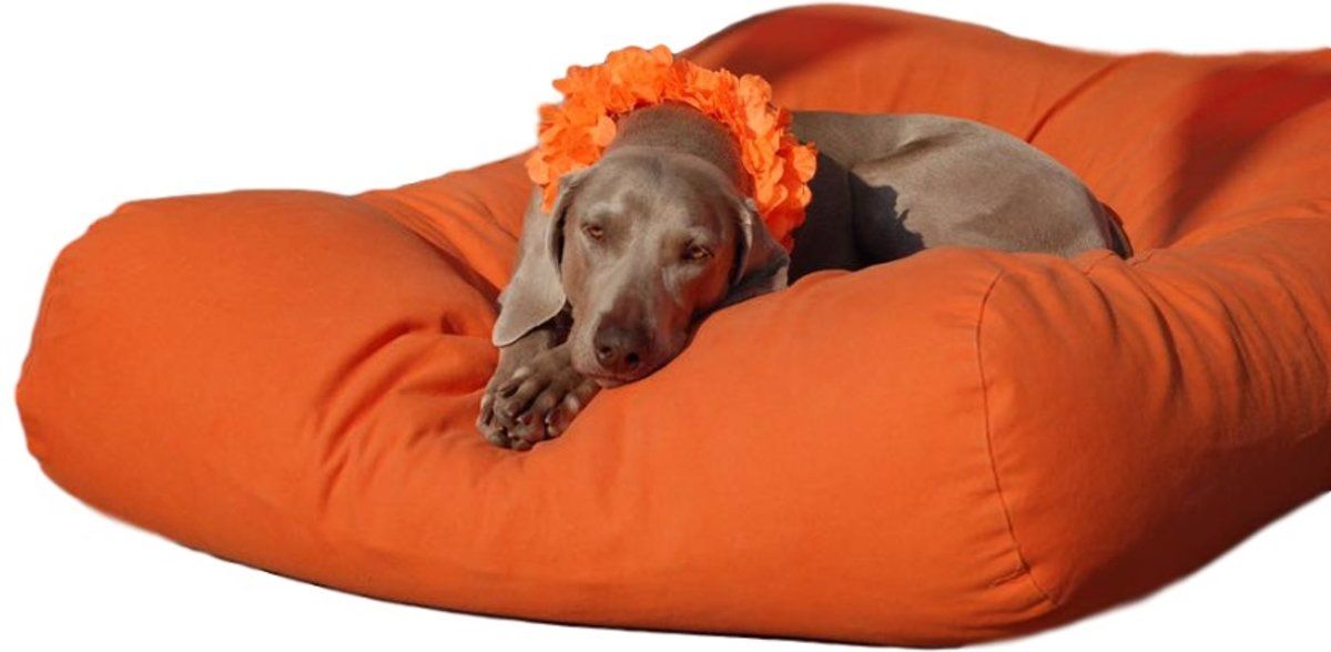 Dog's Companion hondenkussen canvas katoen - S - 70 x 50 cm - oranje