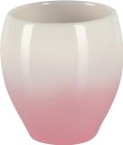 Spirella Bali Tandenborstelhouder - Roze