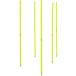 Powershot Piquet de slalom + sac de transport (x10)