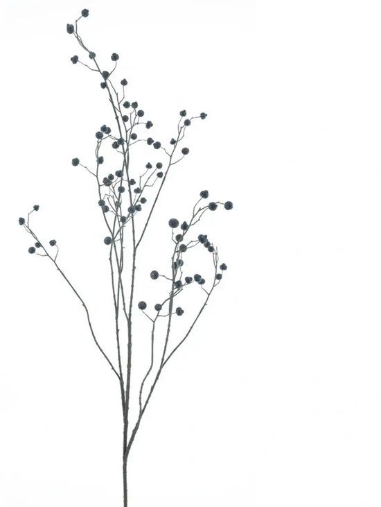 Buitengewoon Boet Kunsttak Rose Hip Branche Zwart - 134 cm