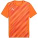 Puma Jersey teamGoal Graphic