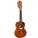 Ortega Eclipse Series Eclipse-TE8 8-snarige Tenor Ukelele met gigbag