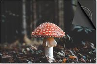 Dietrix Inductie beschermer 60x52 - Herfst - Paddenstoel rood met witte stippen