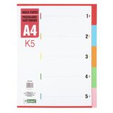 D.RECT K5 tabbladen kartonnen tabbladen | ordner DIN A4 | Verschillende kleuren 5-delig van karton 1-5
