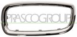 Prasco BM0992334 frame, grille