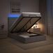 Prolenta Maison Exclusive - Lit Ottoman avec matelas et éclairage LED, gris clair, 120 x 200 cm, revêtement en tissu