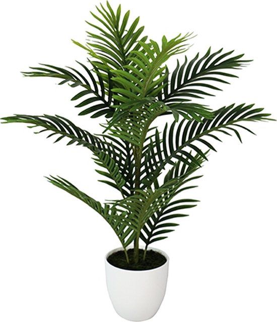 Buitengewoon Boet Kunst Mini Palm - 75 cm