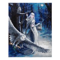 Diversen Crystal Art Diamond Painting Kit - Midnight Messenger - 40 x 50 cm