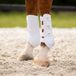 Qhp Beenbeschermers Qhp Champion Voor Wit