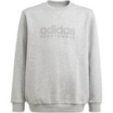 Adidas Junior All Szn Graphic Sweatshirt
