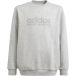 Adidas Junior All Szn Graphic Sweatshirt