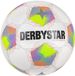 Derbystar Kinder- en jeugdvoetbal Brillant S-Light 290 V26 132029 Weiss/Grün/Lila
