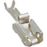 TE Connectivity 927853-6 Platte stekker (female) Vibratieveilig Insteekbreedte: 6.35 mm Insteekdikte: 0.81 mm 180 ° Ongeïsoleerd Zilver 1 stuk(s)