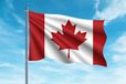 Oedim Vlag van Canada, 150 x 85 cm, versterkt en genaaid, vlag met 2 metalen ogen en waterdicht