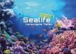Sealife - verborgene Tiefen - 2027 - Kalender DIN A3