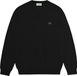 Lacoste Organic Cotton V-Neck Sweater - Zwart - Mannen