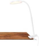 Briloner Plegg Bureaulamp