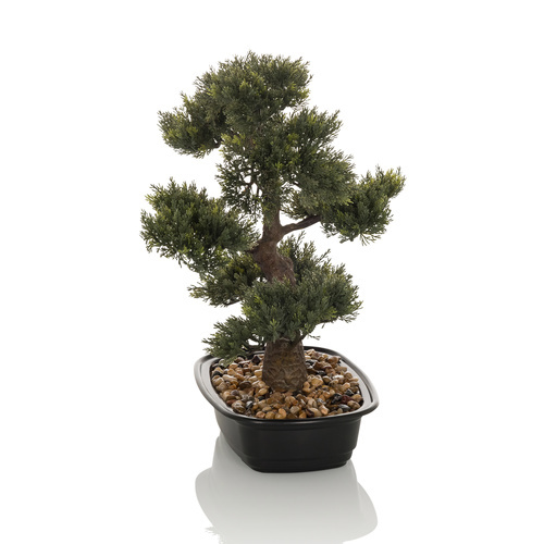 hjh OFFICE BONSAI - Kunstplant Groen