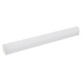 regelaar, Gefom IP44 waterdichte ledlamp, 60 cm, behuizing aluminium, pc-afwerking, met inter, 10 W, 950 lumen