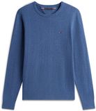 Tommy Hilfiger Heren Trui Katoen Ronde Hals Effen Blauw M