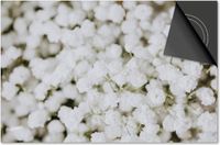 Dietrix Inductie Beschermer - Flowers 20 - 83x51,5 cm