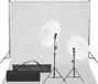 vidaXL Fotostudioset met verlichtingsset en achtergrond