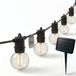 Calex Vista Solar Lichtsnoer voor buiten 20 meter - LED Lichtslinger met 30 lampjes - Warm Wit Licht - Zonne-energie Tuinverlichting