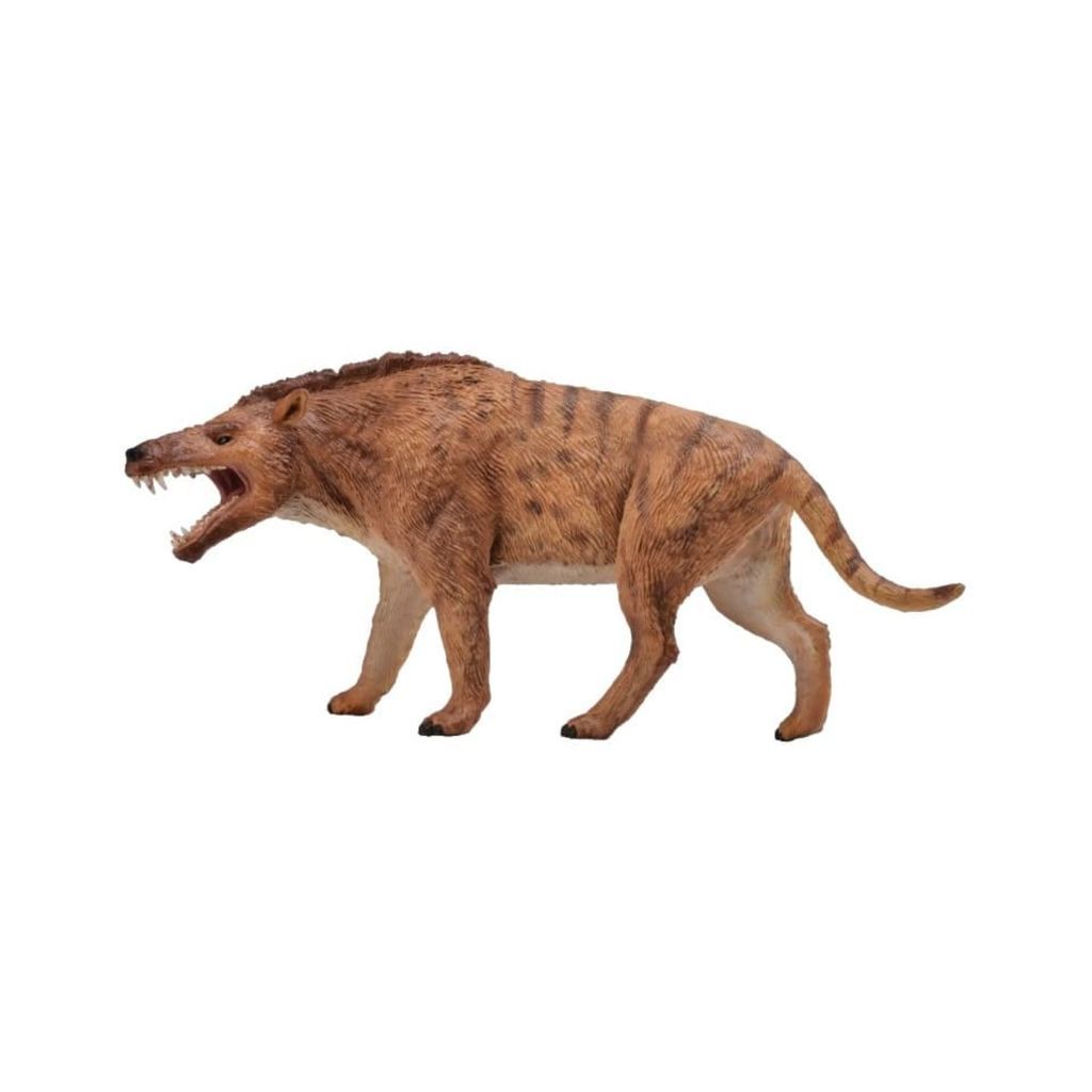 Collecta Andrewsarchus Dinosaurus 19.5 x 9.3 cm