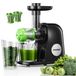 Icecat extracteur de jus lent pour fruits et légumes avec un rendement élevé en jus