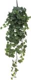 Erutan avon Ivy Chicago hanger L frosted kunsthangplant
