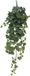 Erutan avon Ivy Chicago hanger L frosted kunsthangplant