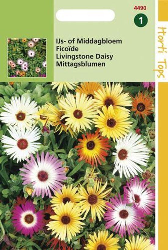 Hortitops Zaden - Mesembryanthemum (Dorotheanthus) criniflorum gem.